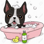 Shampoo for pets & Bathing systems 
